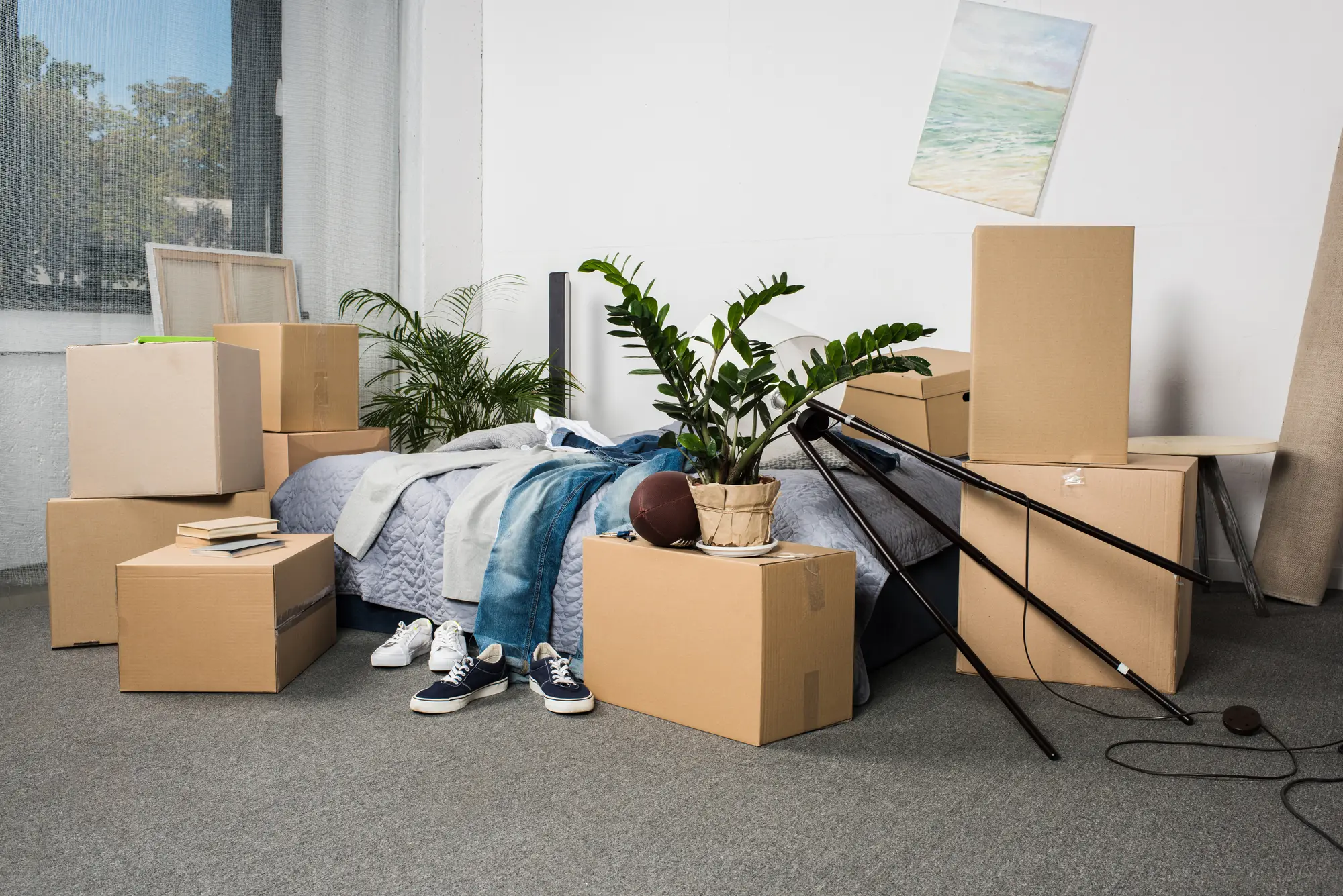 House-Moving--in-Hallandale-Florida-house-moving-hallandale-florida.jpg-image