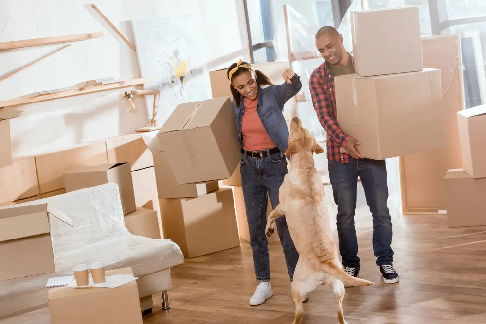 In-State-Moving--in-Opa-Locka-Florida-in-state-moving-opa-locka-florida.jpg-image